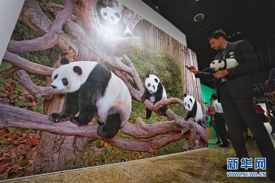 （文化）（2）“首屆中國(guó)大熊貓國(guó)際文化周”在京開(kāi)幕