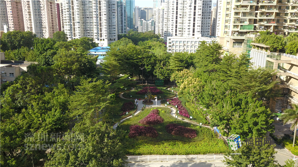  鵬城眼|我的實事我做主！5年辦理“民生微實事”6774件}